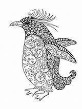 Coloring Pages Penguin Adults Adult Zentangle Printable sketch template