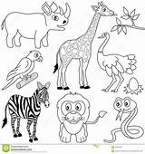Afrique Colouring Zoo Africanos Vertebrados Coloriages Savanna sketch template