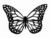 Schmetterling Schablone Siluetas Mariposa Mariposas Schmetterlinge Silueta Schablonen Vlinder Muster sketch template