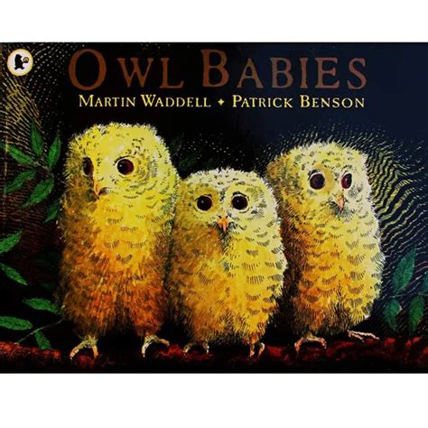 owl babies  martin waddell educational english picture book learning