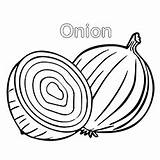 Onion Coloring Getdrawings sketch template