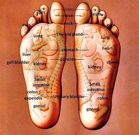 the 25 best foot massage diagram ideas on pinterest reflexology foot