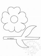 Template Stem Flower Coloring Leaves Pages Flowers Printable Leaf Colouring Templates Drawing Coloringpage Eu Petal Print Color Preschool Banner Crafts sketch template
