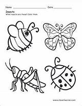 Insects Insect Worksheets Preschool Worksheet Coloring Sheet Bugs Color Science Animals Sheets Choose Board Preschools Cleverlearner Six Legs sketch template