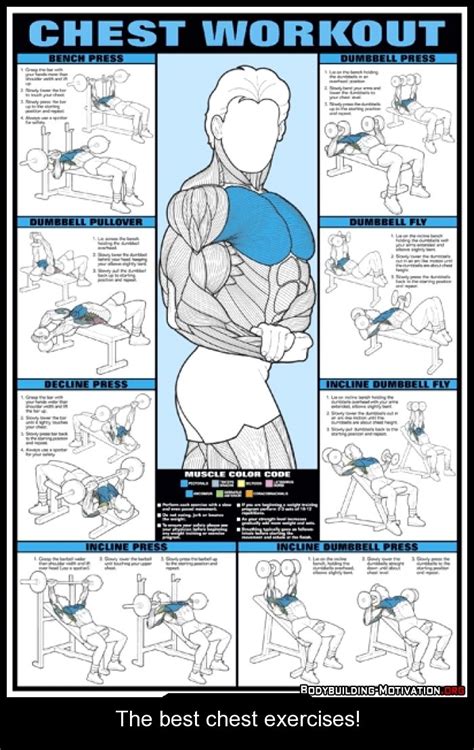 images  gym  pinterest facebook personal trainer