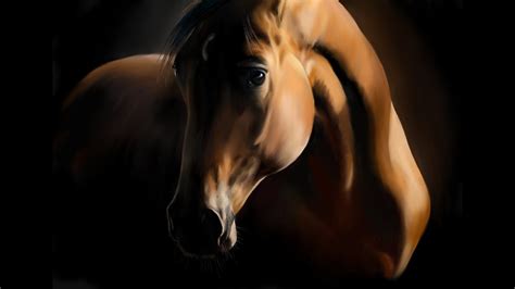 draw  realistic horse portrait digital painting  arabian