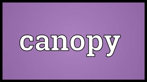 canopy meaning youtube