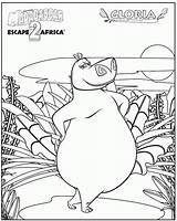 Madagascar Gloria Ausmalbilder Colorat Nilpferd Hippo Kleurplaat Hippopotamus Ausmalbild Coloringhome sketch template