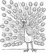 Peacock Coloring Pages Printable Print Color Rocks Adults Birds sketch template