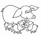 Pig Pigs Porcos Desenho Porco Ausmalbild Ferkeln Kolorowanki Mama Porquinhos Schwein Kategorien sketch template