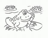 Sapo Broasca Colorat Kolorowanki Desene Planse Coloring Sapos Zaby Broaste Amfibieni Imagini Dzieci Wydruku Fise Educative Zwierzętami Frogs Desenat Malowanki sketch template