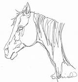 Drawing Line Continuous Horse Head Contour Drawings Animals Animal Debbie Blind Cliparts 그림 Template Sketch 드로잉 Lincoln Grayson Draw Nowornever sketch template