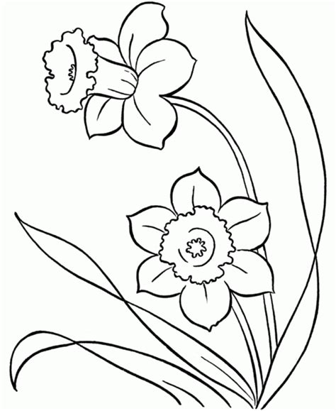 flower flowers spring coloring pages preschool flower coloring home