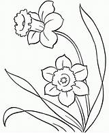 Coloring Spring Pages Flower Flowers Preschool Print sketch template