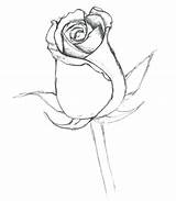 Coloring Rosebud Bud Rose Pages Drawings Flower Simple Drawing Designlooter Light Sketch 5kb Template sketch template