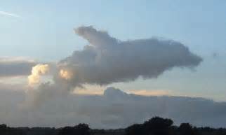 flying flipper remarkable cloud shaped    dolphin spotted leaping   skies