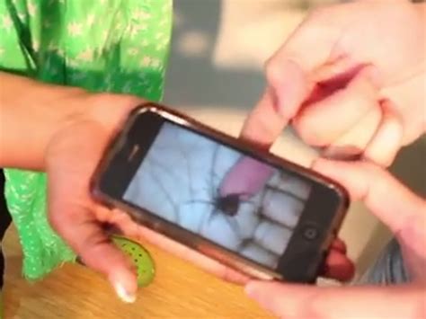 Video Spider Prank The Independent