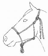 Halter Rope Tie Horse Make Halters Tying Knot Knots Simple Lead Instructions Fiador Functional Own Twist Professional Choose Board sketch template