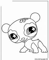 Panda Coloring Pages Pet Shop Cute Littlest Printable Kawaii Color Library Clipart Template Popular Cartoon sketch template