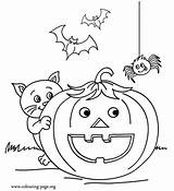 Halloween Coloring Cat Spider Pumpkin Bats Colouring Pages sketch template