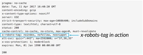 meta robots tag [noindex nofollow] moz