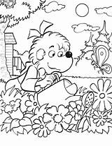 Coloring Bears Berenstain Pages Popular sketch template