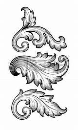 Scroll Engraving Vintage Filigree Baroque Floral Tattoo Choose Board Patterns Designs Vector sketch template