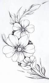 Blomster Tegninger Flotte sketch template