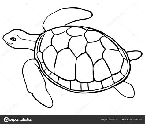 turtle coloring page coloring pages