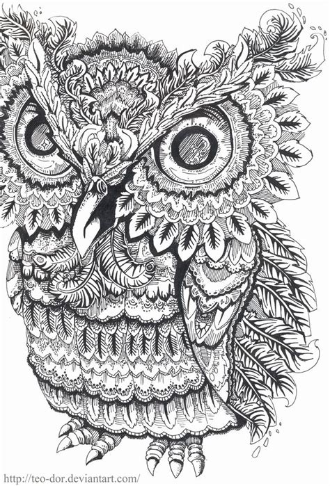 owl coloring book  adults awesome     start colouring