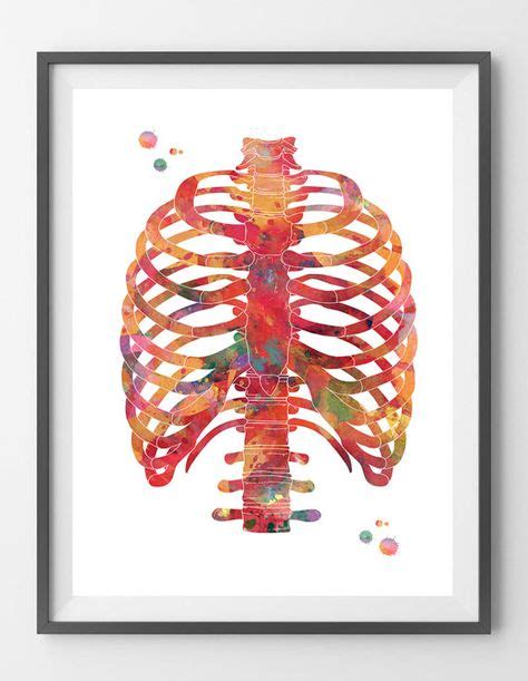 80 Best Art Darsi Images Anatomy Art Medical Art Art