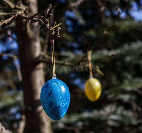 easter eggs hanging stock image image  green gift