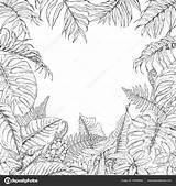 Tropicales Plantes Cadre Monstera Plant Palm Fern Contour sketch template