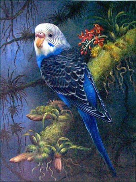 bird painting jpg  pixels birds pinterest bird