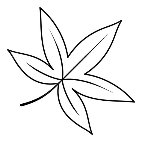 autumn leaf  drawing leaf drawing leaf sketch leaf png