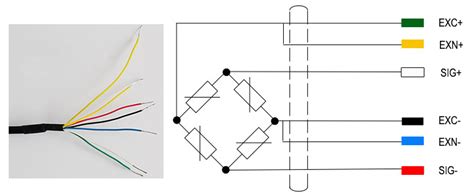 wire load cell wiring diagram liliassurbani