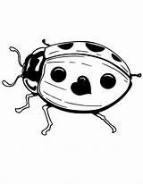 Ladybug Hmcoloringpages sketch template