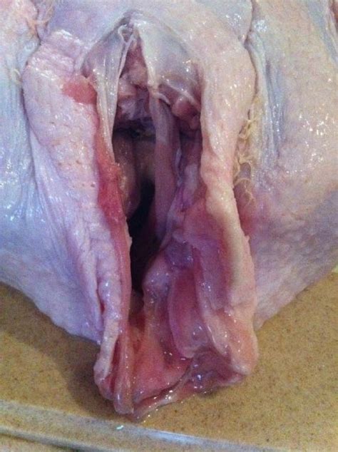 turkish vagina tinyteens pics