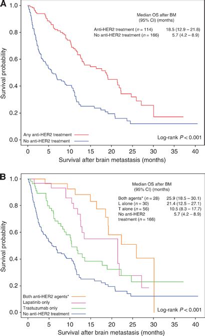 Overall Survival Os After Brain Metastasis Bm By Anti Her2