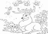 Coloring Deer Hunter Pages Getcolorings Hunting sketch template