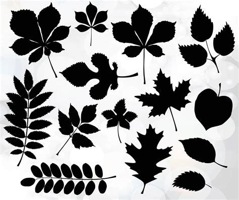svg fall leaves  fall leaf silhouettes clipart autumn leaves
