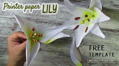 diy lily flower  printer paper  template  simple youtube