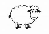 Sheep Coloring Designlooter sketch template