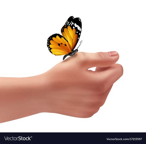butterfly  hand royalty  vector image vectorstock