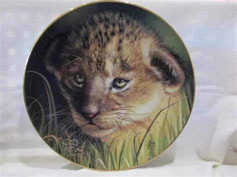 lion cub bygua princeton gallery limited edition collector plate 22473