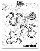Earthworms Earthworm Crittersquad Insects Insect sketch template