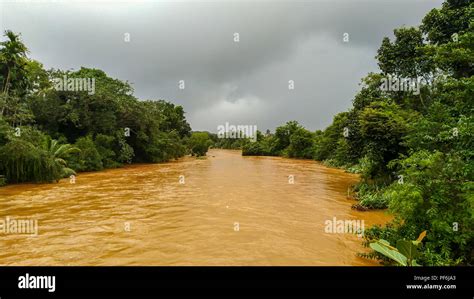 dirty water flowing   river surrounded  green trees  bridge