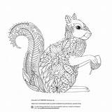 Coloring Pages Forest Colouring Adults Enchanted Printable Squirrel Adult Book Designs Grown Fabriano Boutique Sheets Playroom Detailed Intheplayroom Everythingetsy Competition sketch template