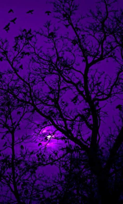 Pin by Jen Velasco on Aesthetic Purple Widgets in 2020 | Purple