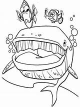 Nemo Gdzie Jest Kolorowanka Dory Marlin Wydruku Wieloryb Kolorowanki Shark Malowanka Bajki sketch template